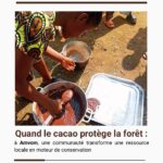 Quand le cacao protège la forêt